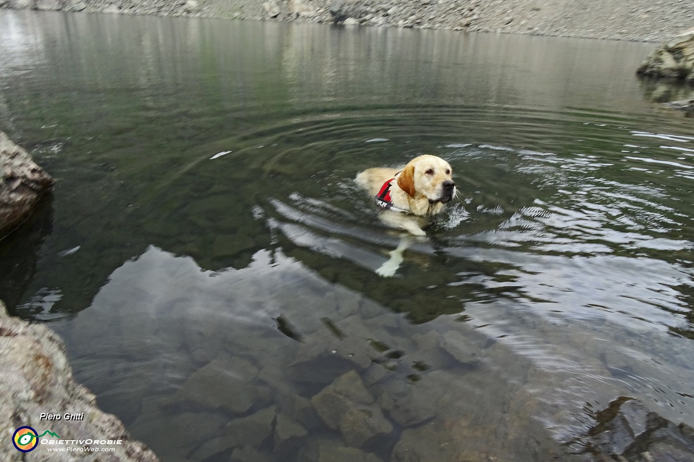 51 Finalmente... bagnetto nel Lago Rotondo (2256 m) !.JPG -                                